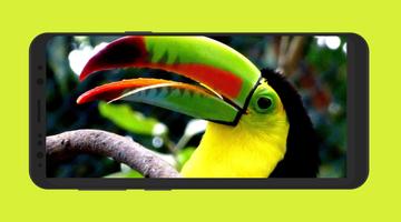 Colombia TV HD & Radio poster