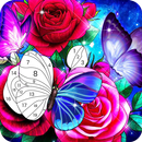 APK Happy Fun King Color By Number