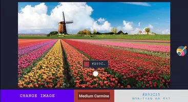 Identify color & recognizer screenshot 3