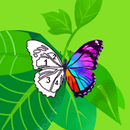 Daily Color - Paint by Number APK
