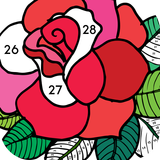 Color by Number - New Coloring Book