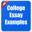College Essay Examples