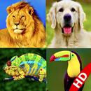 Изучение имен животных APK