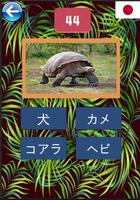 動物の名前を学ぶ スクリーンショット 3