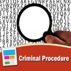 Criminal Procedure icône
