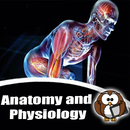Human Anatomy and Physiology APK