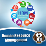 Human Resource Management Book