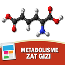 Metabolisme Zat Gizi APK