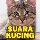 Suara Kucing : Cat Sounds APK