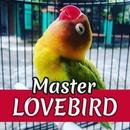 Suara Lovebird : Master Lovebird APK