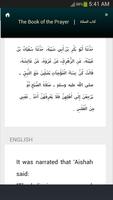 Sunan Ibn Majah syot layar 2