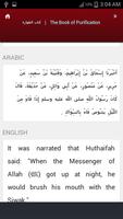 Sunan an-Nasa'i screenshot 2