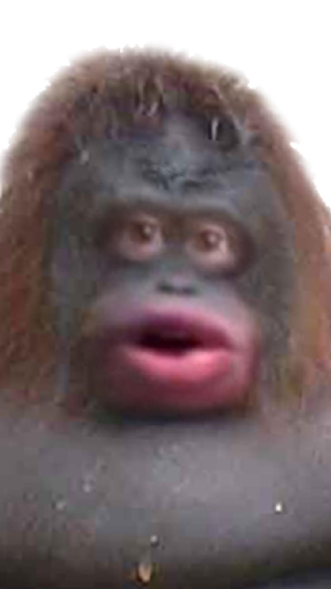 Monke manager Monke manager