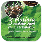 3 Mutiara Kesehatan Alami icono