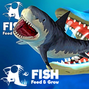 Feeds and Grow Fish Feed APK