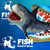 Feeds and Grow Fish Feed APK