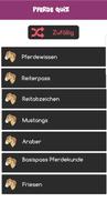 Pferde Quiz Plakat