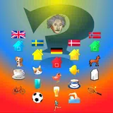 Einstein Puzzle Mind Blowing Riddle