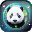 Моя прошлая жизнь тест APK
