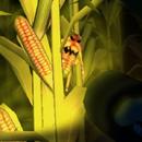 Cornbabies: The Game APK