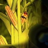 Cornbabies: The Game ikon