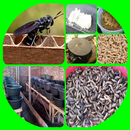 cultivo Maggot APK