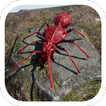 Bomber Ant