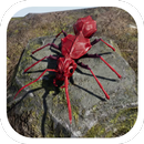 Bomber Ant APK