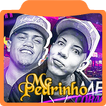 Musicas Mc Pedrinho-É o Lema Dj Leozinho MPC