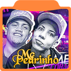Musicas Mc Pedrinho-É o Lema Dj Leozinho MPC آئیکن