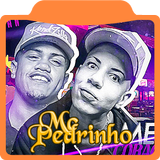 Musicas Mc Pedrinho-É o Lema Dj Leozinho MPC simgesi
