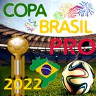 Copa Brasil - O Jogo 2022 PRO icône