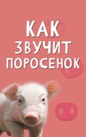 Звуки свиньи постер