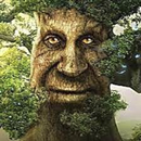 Какое ты Мистическое Дерево APK