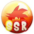 Super Saiyan Runner