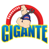 Repuestos Gigante