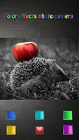 Fotoğraf Düzenleme – Renkler Ekran Görüntüsü 1