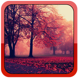 Падающие листья Jigsaw