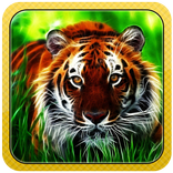 Wild Tiger 3D