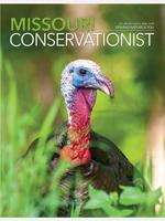 MO Conservationist Magazine ảnh chụp màn hình 1