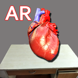 AR Human Heart– A glimpse APK