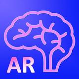 AR Human Brain APK