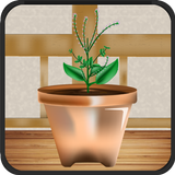 Plants Shop : App of growing a aplikacja