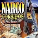 Musica Narco Corridos APK