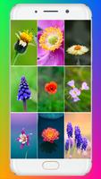Macro Flower Wallpaper poster