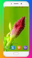 Macro Flower Wallpaper screenshot 1