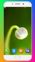 Macro Flower Wallpaper screenshot 2