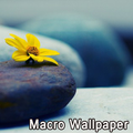 Makro duvar kağıdı