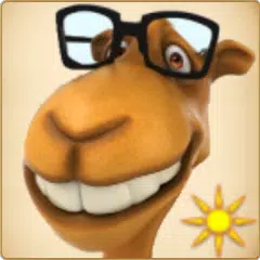 Magic Camel XAPK download