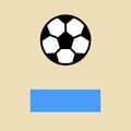 Ball Jumper